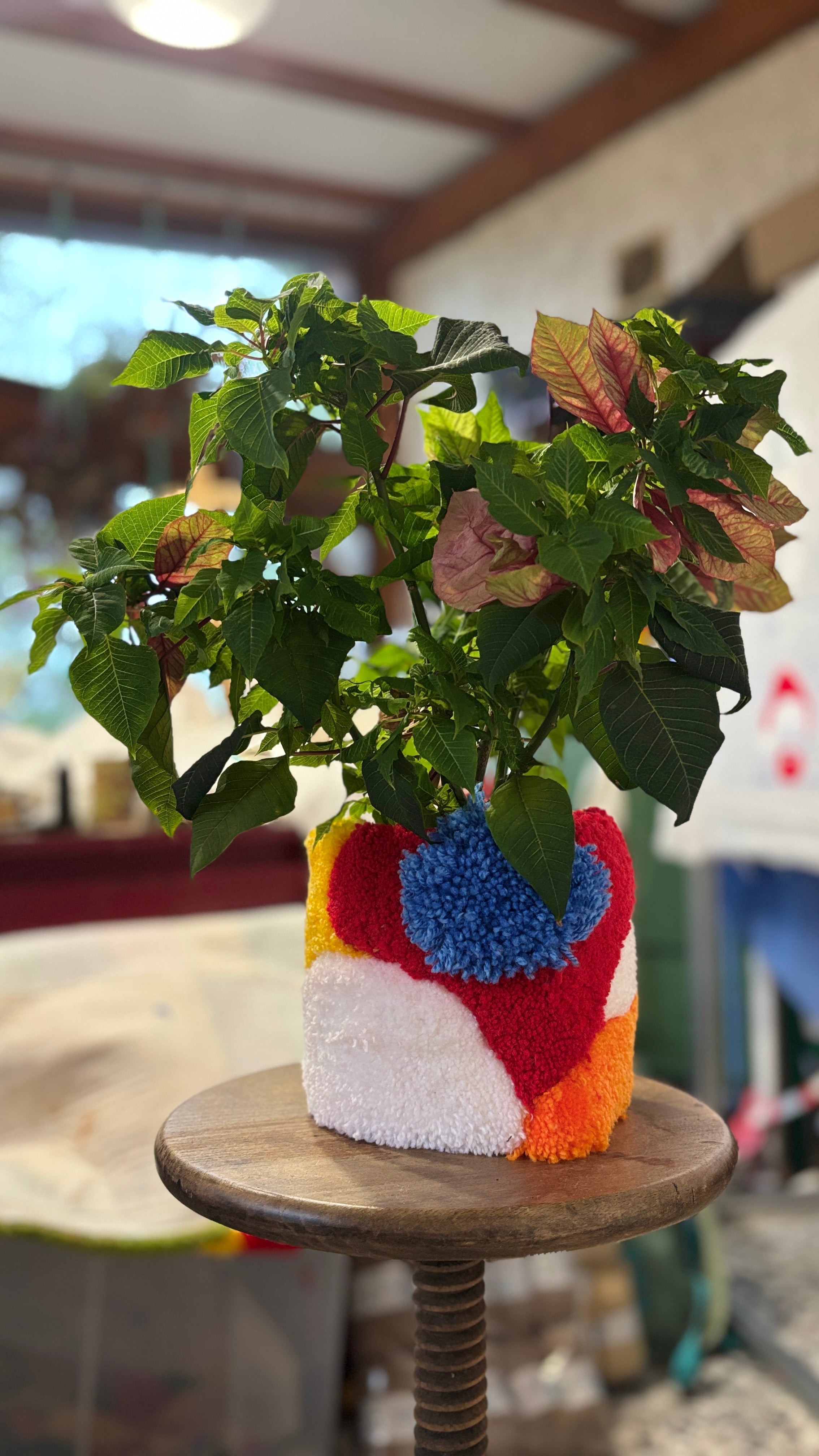 Cache pot personnalisé